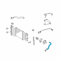 OEM 2010 Toyota 4Runner Lower Hose Diagram - 16572-75241