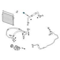 OEM Cadillac AC Tube Cap Diagram - 20913205