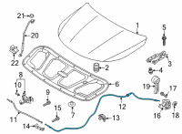 OEM 2022 Kia Sorento Cable Assembly-Hood LATC Diagram - 81190R5000