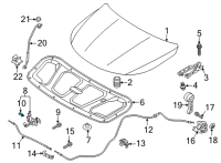 OEM 2021 Kia Sorento Switch Assy-Hood Diagram - 81134P2000