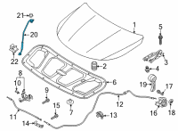 OEM 2017 Kia Sorento Lifter-Hood Diagram - 81161C6000