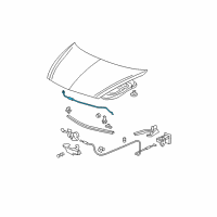 OEM Honda Fit Stay, Hood Opener Diagram - 74145-SLN-A00