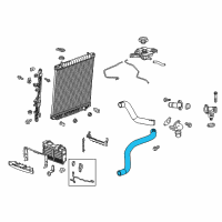 OEM 2021 Chevrolet Colorado Lower Hose Diagram - 84463184