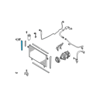 OEM 1998 Infiniti QX4 Seal-Rubber Diagram - 92184-0W010