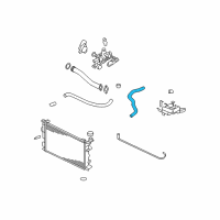 OEM 2008 Kia Optima Hose-Radiator Lower Diagram - 254122G100