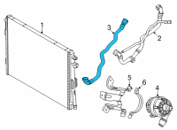 OEM BMW 230i HOSE, RADIATOR Diagram - 17-12-8-654-862