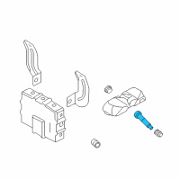 OEM 2008 Hyundai Azera Tire Pressure Monitoring System (Tpms) Valve Diagram - 52933-2G300