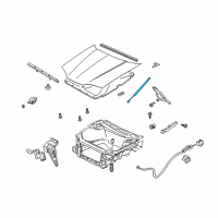 OEM Chevrolet Monte Carlo Strut Asm-Hood *Black Diagram - 10289411