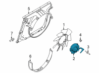 OEM 2021 Ford F-250 Super Duty Fan Clutch Diagram - LC3Z-8A616-B