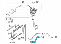 OEM 2020 Nissan Frontier Hose-Radiator, Lower Diagram - 21503-9BT0B