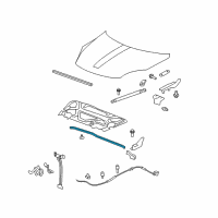 OEM 2011 Buick Enclave Weatherstrip Asm-Hood Rear Diagram - 25844423