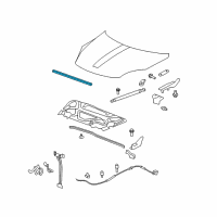 OEM 2009 Saturn Outlook Weatherstrip Asm-Hood Front Diagram - 25805471