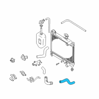 OEM Chevrolet Tracker Radiator Outlet Hose (Lower) Diagram - 30027983