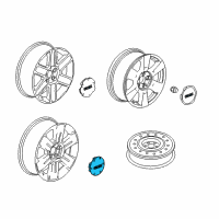 OEM Center Cap Diagram - 9597571