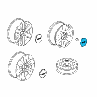 OEM 2010 GMC Terrain Center Cap Diagram - 9597973