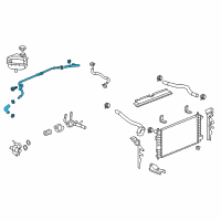 OEM Pontiac Overflow Hose Diagram - 12636467