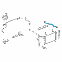 OEM 2009 Chevrolet Malibu Lower Hose Diagram - 25775994