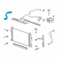 OEM Chevrolet Cruze Lower Hose Diagram - 13251435