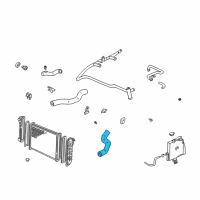 OEM 1997 Buick Century Lower Hose Diagram - 10347833