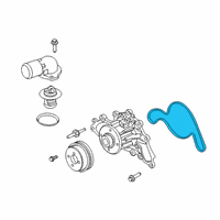 OEM 2020 Ford F-250 Super Duty Water Pump Assembly Gasket Diagram - LC3Z-8507-A