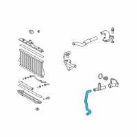 OEM 2009 Toyota Highlander Lower Hose Diagram - 16572-20140