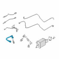 OEM 2021 Ford Transit-150 PCV Hose Diagram - DL3Z-6A664-A