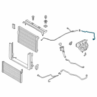 OEM 2015 BMW 750Li Coolant Hose Diagram - 17-12-7-619-711