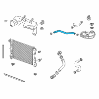 OEM Chevrolet Trax Radiator Surge Tank Outlet Hose Diagram - 96968691