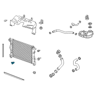 OEM 2017 Chevrolet Trax Drain Plug Diagram - 95018599