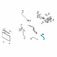 OEM 2011 Hyundai Santa Fe Hose-Radiator Lower Diagram - 25412-2B800