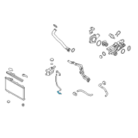 OEM 2011 Hyundai Santa Fe Hose-Over Flow Diagram - 25444-2B800