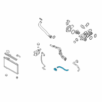 OEM 2012 Hyundai Santa Fe Hose-Radiator, Upper Diagram - 25411-2B800