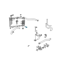 OEM 2003 Hyundai Accent Plug-Radiator Drain Diagram - 25318-33100