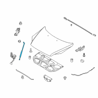 OEM 2010 Kia Sportage Rod Assembly-Hood Stay Diagram - 811701F000