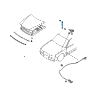 OEM Infiniti M45 Stay Assembly-Hood, L Diagram - 65471-AG000