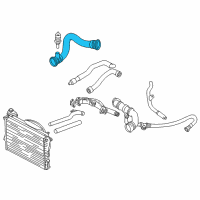 OEM 2000 BMW 750iL Radiator Water Lower Pipe Hose Diagram - 11-53-1-711-878