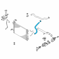 OEM 2013 Kia Sorento Hose-Radiator Lower Diagram - 254122P700