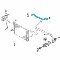 OEM Kia Hose-Radiator Upper Diagram - 254112P700