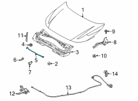 OEM Nissan Sentra Rod-Hood Support Diagram - 65771-6LB0A