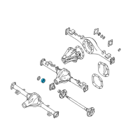 OEM 2000 Nissan Frontier Bearing-Rear (Axel Inner) Diagram - 43210-42G10