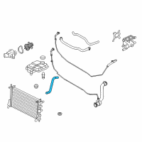 OEM 2008 Ford Focus Lower Hose Diagram - 8S4Z-8286-A