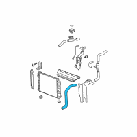 OEM 2007 Chevrolet HHR Lower Hose Diagram - 15920918