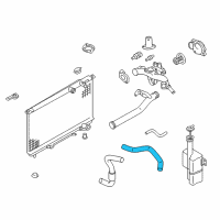 OEM 2006 Kia Amanti Hose-Radiator, Upper Diagram - 2541439500