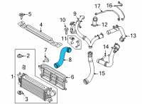 OEM 2022 Ford Bronco TUBE - OUTLET Diagram - MB3Z-6F073-C