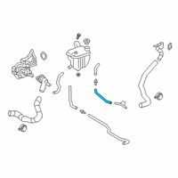 OEM 2022 Toyota Corolla By-Pass Hose Diagram - 16296-24020