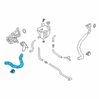 OEM Toyota Corolla Lower Hose Diagram - 16572-24030