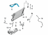 OEM 2020 Ford F-250 Super Duty Upper Hose Diagram - LC3Z-8260-A