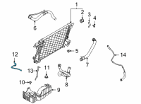 OEM Ford F-250 Super Duty Overflow Hose Diagram - LC3Z-8075-F