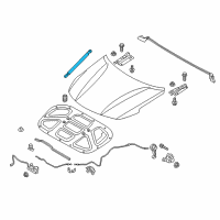 OEM 2018 Kia Optima Lifter-Hood Diagram - 81161D5000