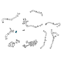 OEM Water Pump Assembly Diagram - 55510114